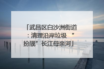 武昌区白沙洲街道：清理沿岸垃圾 “扮靓”长江母亲河