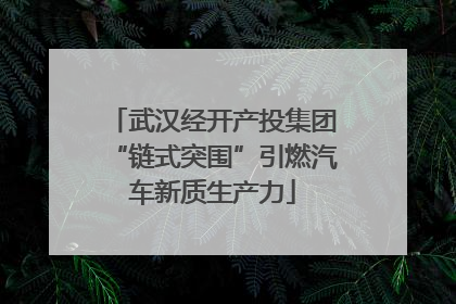 武汉经开产投集团“链式突围”引燃汽车新质生产力