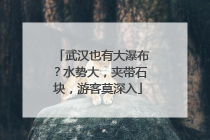 武汉也有大瀑布？水势大，夹带石块，游客莫深入