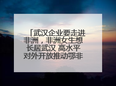 武汉企业要走进非洲，非洲女生想长居武汉 高水平对外开放推动鄂非双向奔赴