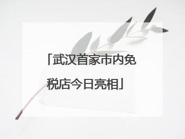 武汉首家市内免税店今日亮相