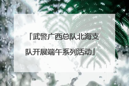武警广西总队北海支队开展端午系列活动