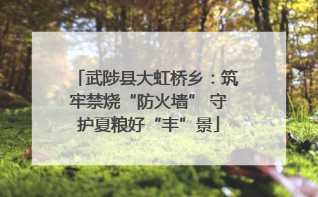 武陟县大虹桥乡：筑牢禁烧“防火墙” 守护夏粮好“丰”景