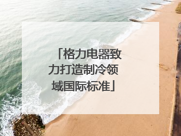 格力电器致力打造制冷领域国际标准