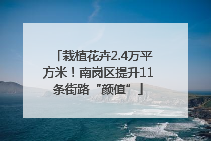 栽植花卉2.4万平方米！南岗区提升11条街路“颜值”
