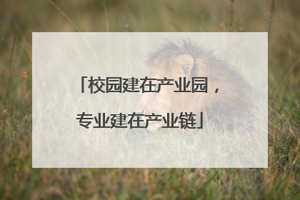 校园建在产业园，专业建在产业链