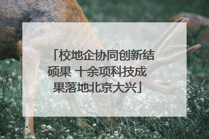 校地企协同创新结硕果 十余项科技成果落地北京大兴