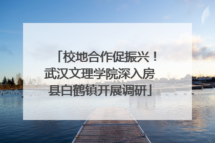 校地合作促振兴！武汉文理学院深入房县白鹤镇开展调研