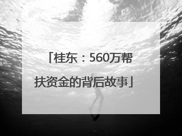 桂东：560万帮扶资金的背后故事