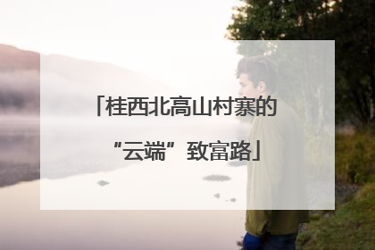 桂西北高山村寨的“云端”致富路