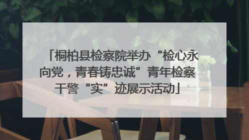 桐柏县检察院举办“检心永向党，青春铸忠诚”青年检察干警“实”迹展示活动