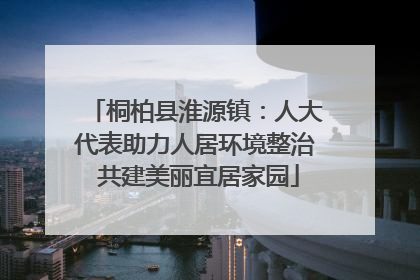 桐柏县淮源镇：人大代表助力人居环境整治 共建美丽宜居家园