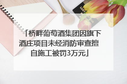 桥畔葡萄酒集团因旗下酒庄项目未经消防审查擅自施工被罚3万元