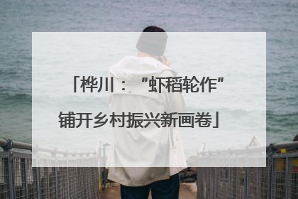 桦川：“虾稻轮作”铺开乡村振兴新画卷