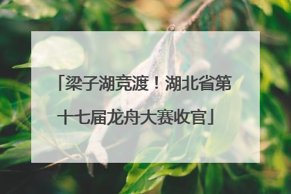 梁子湖竞渡！湖北省第十七届龙舟大赛收官