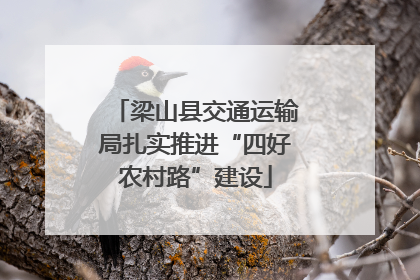 梁山县交通运输局扎实推进“四好农村路”建设