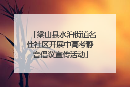 梁山县水泊街道名仕社区开展中高考静音倡议宣传活动