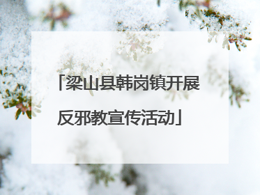 梁山县韩岗镇开展反邪教宣传活动