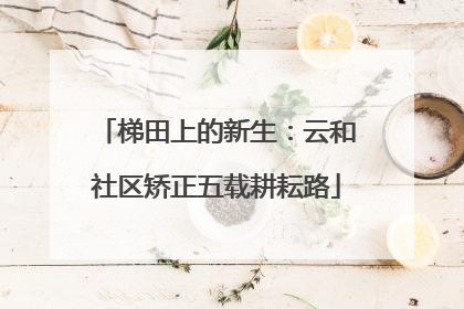 梯田上的新生：云和社区矫正五载耕耘路