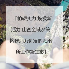 植硬实力 焕发新活力 山西全域系统构建活力迸发的派出所工作新生态