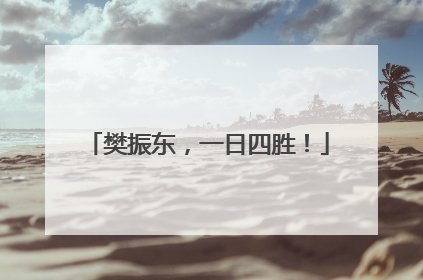 樊振东，一日四胜！