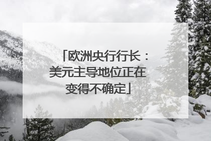 欧洲央行行长：美元主导地位正在变得不确定