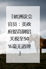 欧洲议会官员：美政府提高钢铝关税至50%毫无道理
