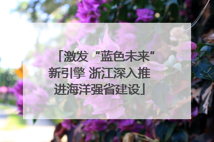 激发“蓝色未来”新引擎 浙江深入推进海洋强省建设