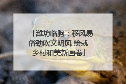 潍坊临朐：移风易俗劲吹文明风 绘就乡村和美新画卷