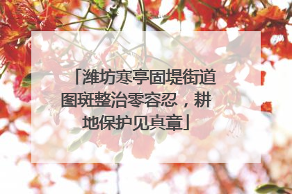 潍坊寒亭固堤街道图斑整治零容忍，耕地保护见真章