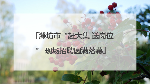 潍坊市“赶大集 送岗位” 现场招聘圆满落幕