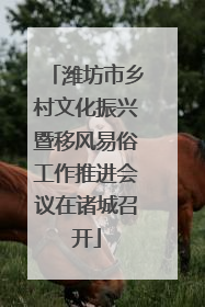 潍坊市乡村文化振兴暨移风易俗工作推进会议在诸城召开