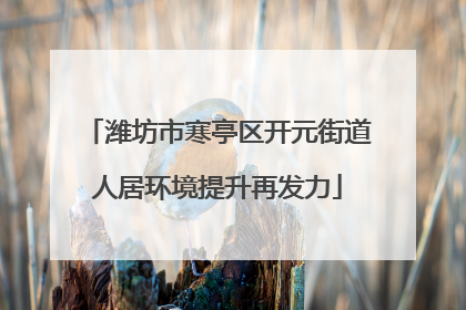 潍坊市寒亭区开元街道人居环境提升再发力