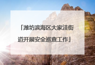 潍坊滨海区大家洼街道开展安全巡查工作