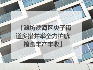 潍坊滨海区央子街道多措并举全力护航粮食丰产丰收
