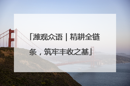 潍观众语｜精耕全链条，筑牢丰收之基