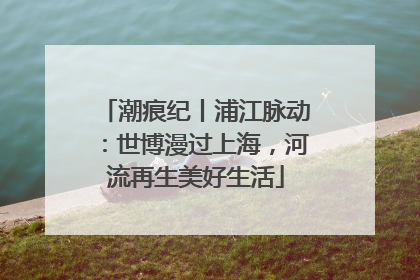 潮痕纪丨浦江脉动：世博漫过上海，河流再生美好生活