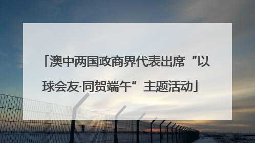 澳中两国政商界代表出席“以球会友·同贺端午”主题活动