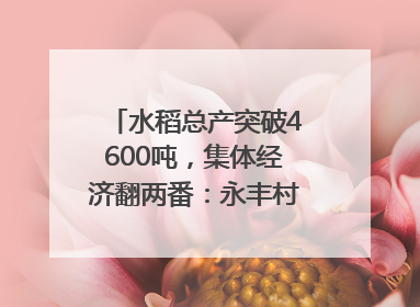 水稻总产突破4600吨，集体经济翻两番：永丰村的三年蜕变｜您牵挂的四川