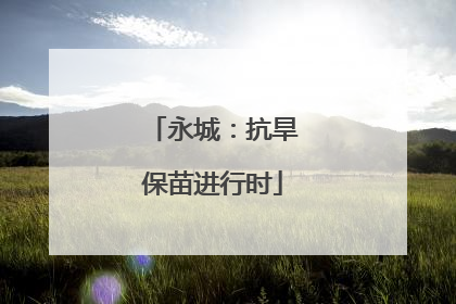 永城：抗旱保苗进行时