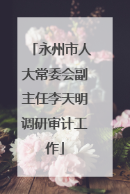 永州市人大常委会副主任李天明调研审计工作