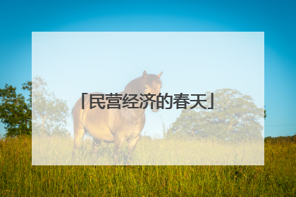民营经济的春天
