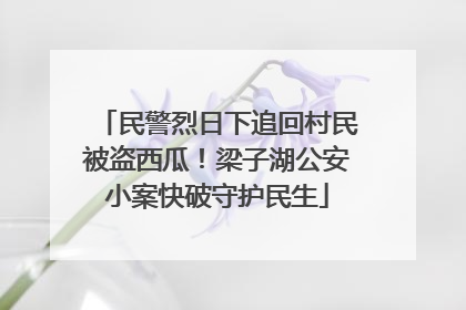 民警烈日下追回村民被盗西瓜！梁子湖公安小案快破守护民生