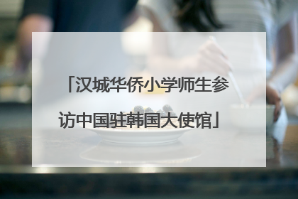 汉城华侨小学师生参访中国驻韩国大使馆