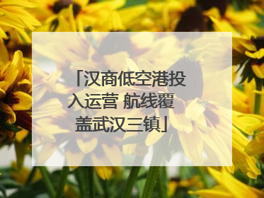 汉商低空港投入运营 航线覆盖武汉三镇