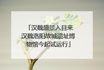 汉魏盛景入目来 汉魏洛阳故城遗址博物馆今起试运行