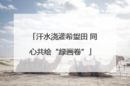 汗水浇灌希望田 同心共绘“绿画卷”