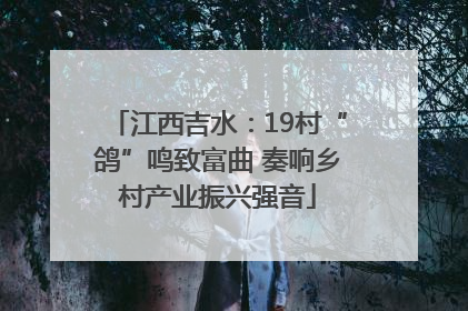 江西吉水：19村“鸽”鸣致富曲 奏响乡村产业振兴强音