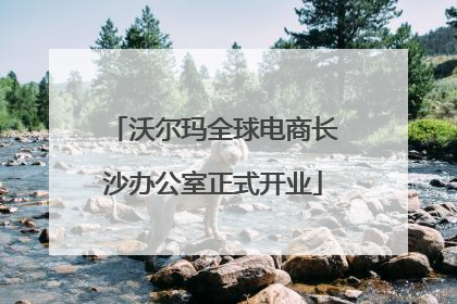 沃尔玛全球电商长沙办公室正式开业