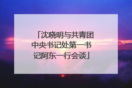 沈晓明与共青团中央书记处第一书记阿东一行会谈